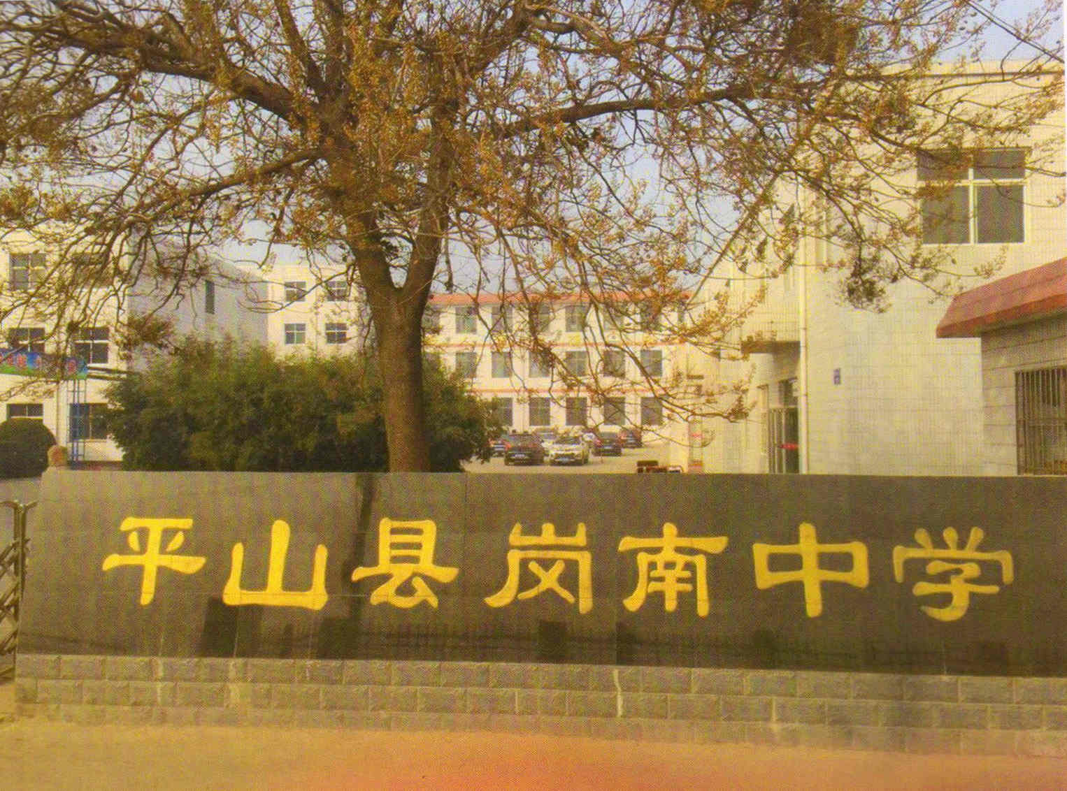 �ɹ�����